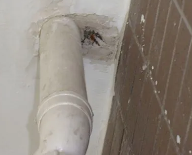 昭阳漏水检测哪家好